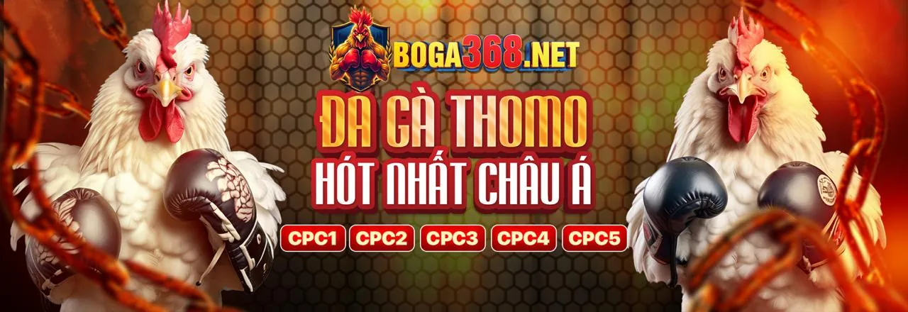 Chương Trình VIP wwwxx88